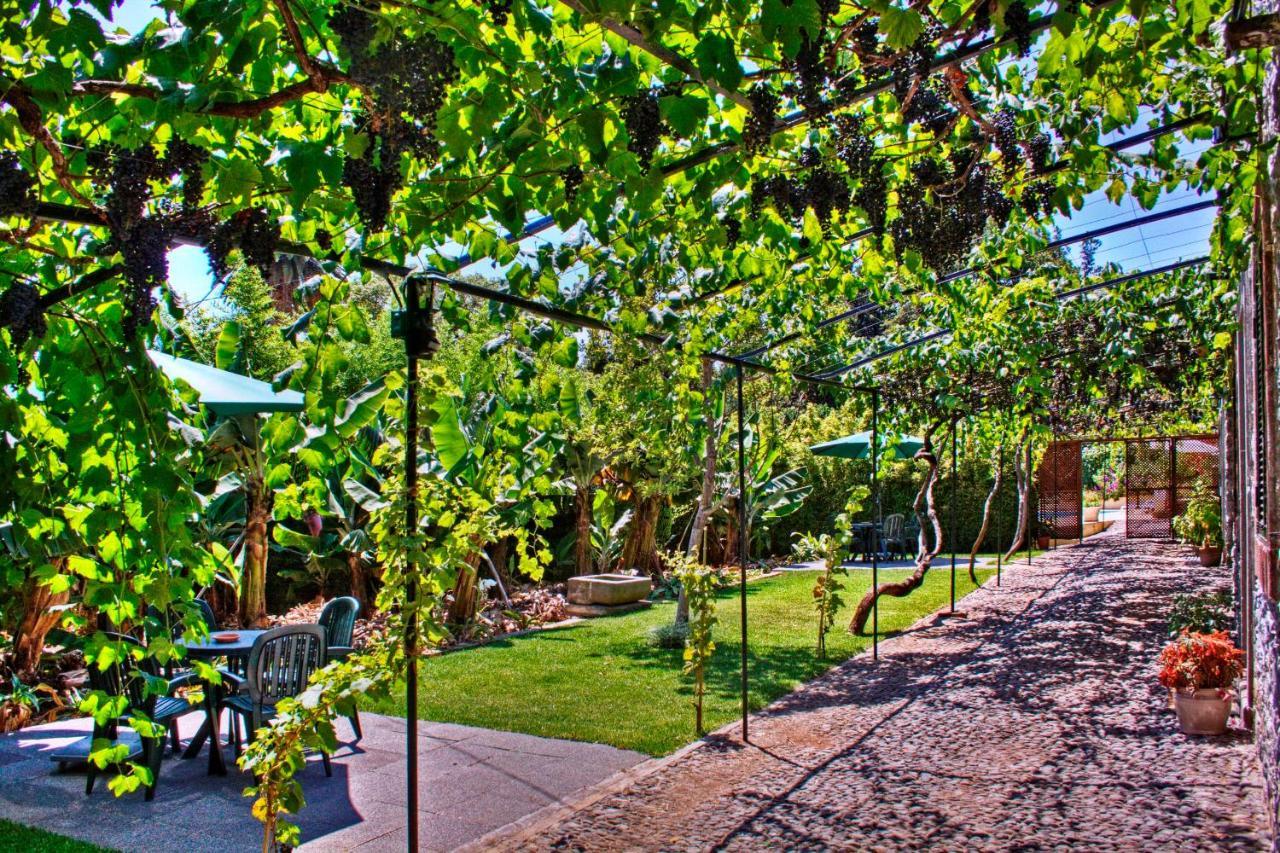 Ourmadeira - Loja Da Lenha, Charming Apartamento Funchal  Exterior foto