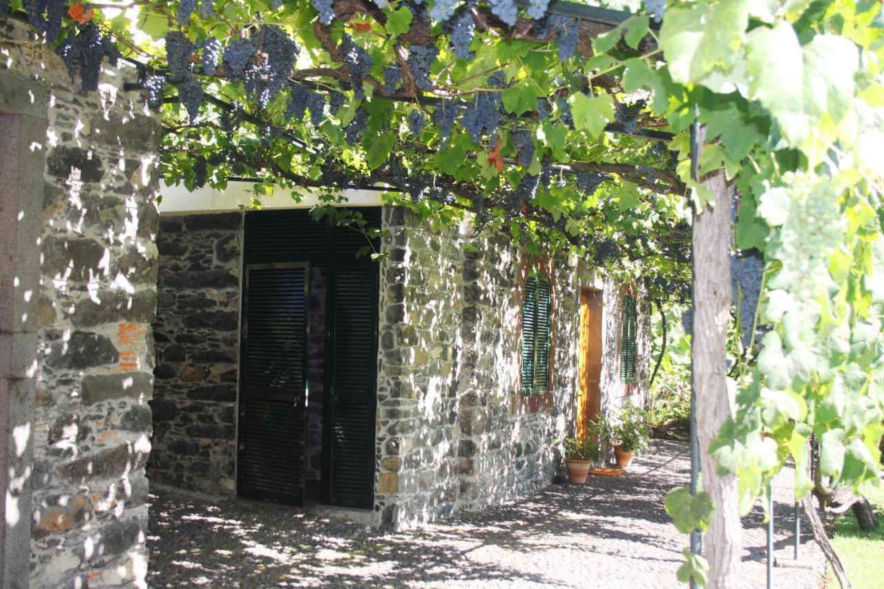 Ourmadeira - Loja Da Lenha, Charming Apartamento Funchal  Exterior foto